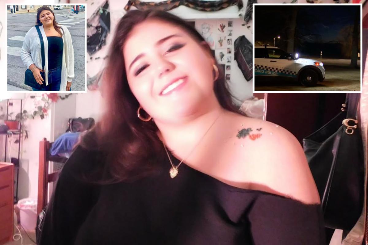 New York teen gunned down near Chicago college -- days after posting fun-filled pics of freshman year