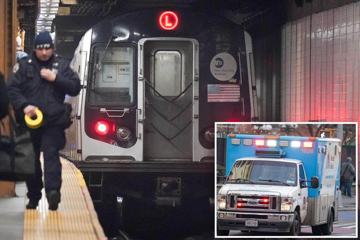 Trash bag-carrying maniac with history of glass bottle attacks charged in rush-hour NYC stabbing of teen: cops