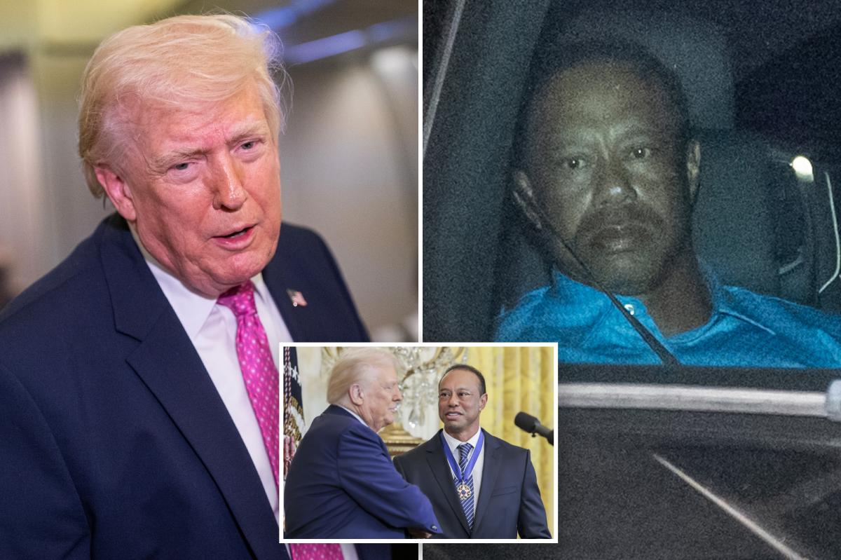 Trump on Tiger Woods' Florida rollover DUI crash, tells The Post Vanessa's boyfriend endures 'a life of pain'