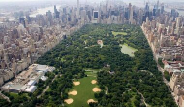 The Fight to Reclaim NYC's Free Admission Rights