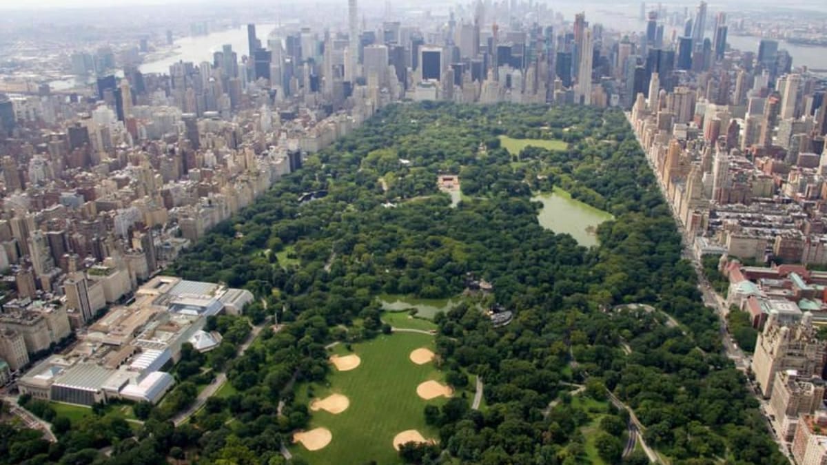 The Fight to Reclaim NYC's Free Admission Rights