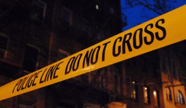 New York man arrested for stabbing his girlfriend to death and attacking her son, 16, in their Bronx apartment