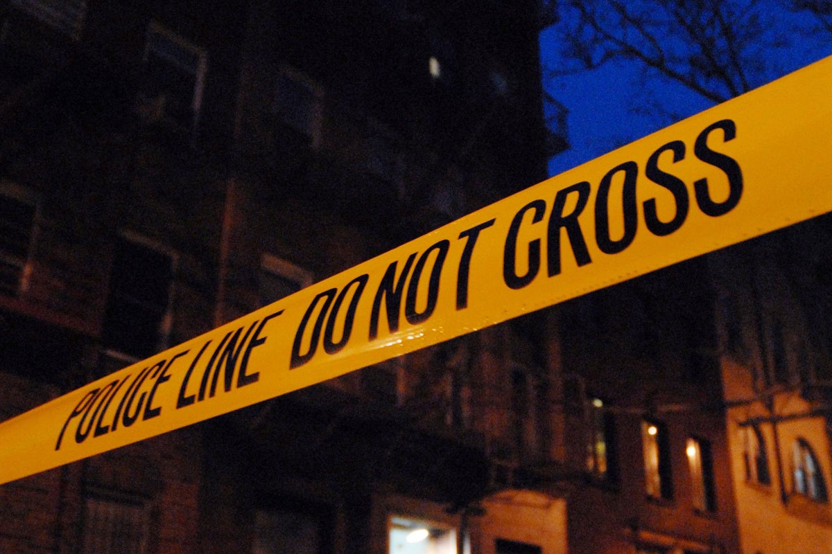 New York man arrested for stabbing his girlfriend to death and attacking her son, 16, in their Bronx apartment