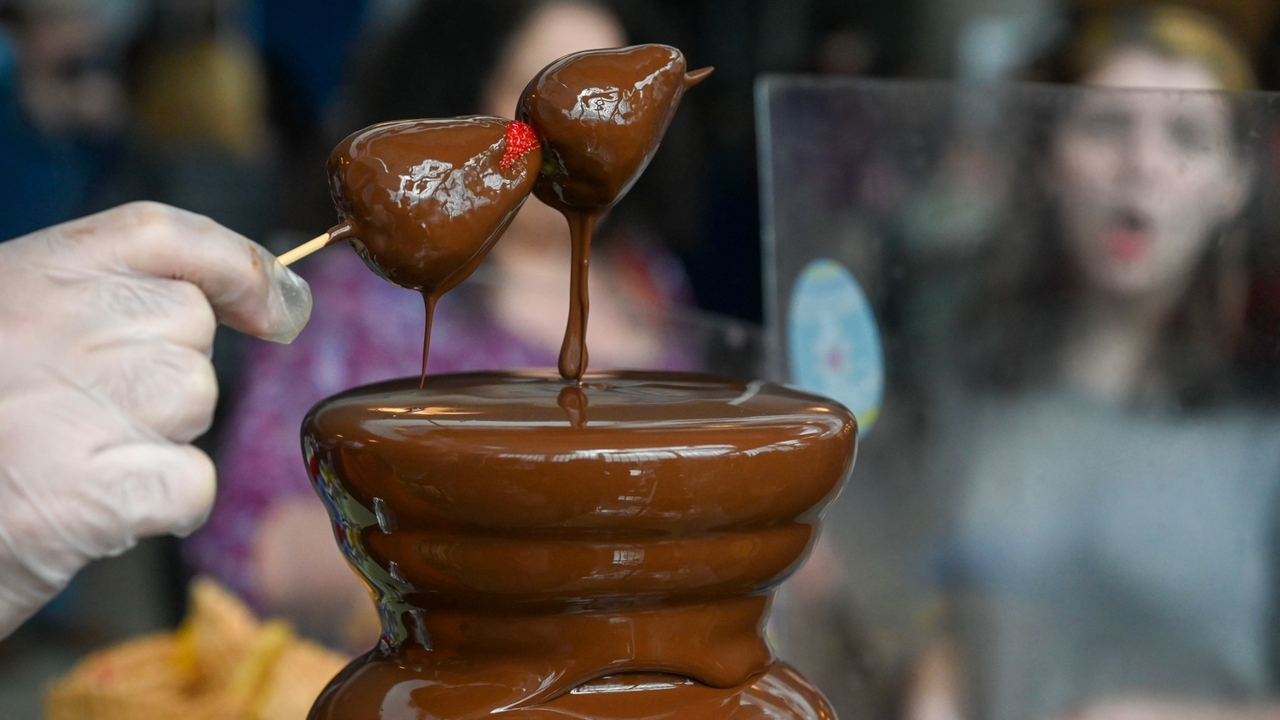 The Chocolate Expo moves to Nassau Coliseum in Uniondale