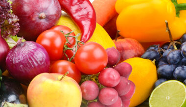 Understanding the New Food Pyramid: 10 Tips to Healthier Eating