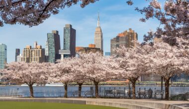NYC May Finally See Spring-Like Temps This Weekend