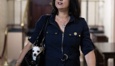 SCOTUS sides with Malliotakis on redistricting case, in blow to NY Dems