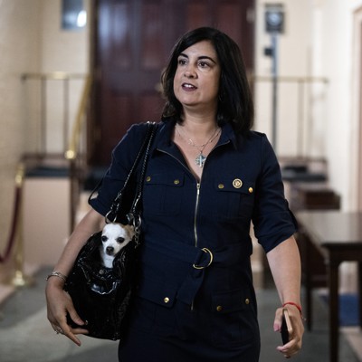 SCOTUS sides with Malliotakis on redistricting case, in blow to NY Dems