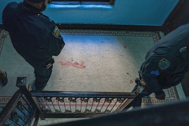 Police investigate inside the apartment building on Sherman Ave. in the Bronx on Saturday. 