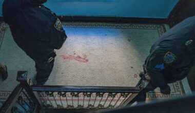 ‘I’m sorry. I’m dying. I’m sorry.’ – The Morning Sun