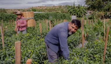 How the Cruz Family Decided to Self-Deport