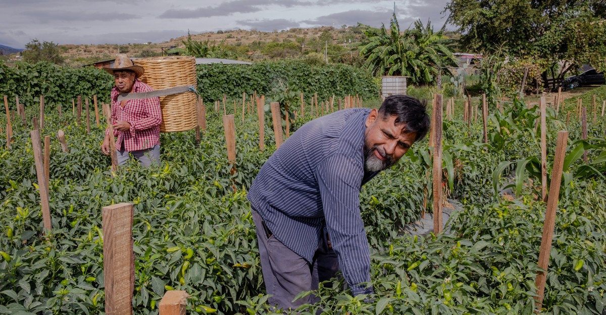 How the Cruz Family Decided to Self-Deport