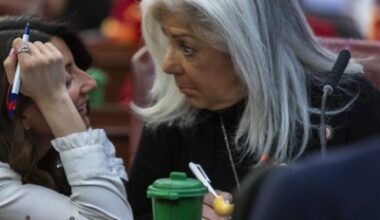 Vickie Paladino charged by ethics committee