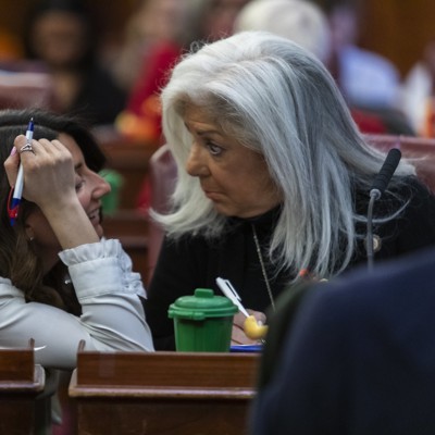 Vickie Paladino charged by ethics committee