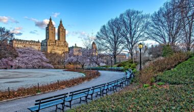 Best NYC Events in March 2026 plus St. Patrick’s Day Events