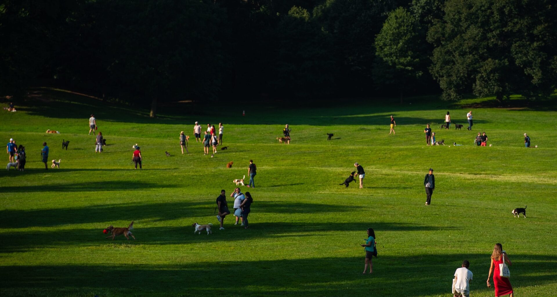 NYC announces $50M to rebuild 10 parks in underserved neighborhoods