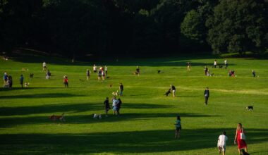 NYC announces $50M to rebuild 10 parks in underserved neighborhoods