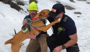 Dog rescued by fire crews, emergency workers after precarious cliff fall in New York's Michael Ciaiola Conservation Area