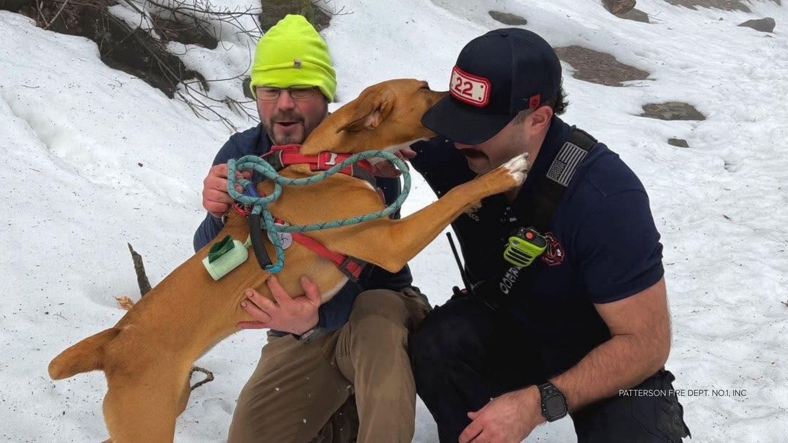 Dog rescued by fire crews, emergency workers after precarious cliff fall in New York's Michael Ciaiola Conservation Area