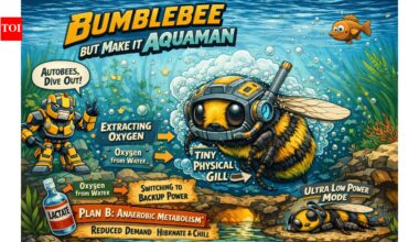 Yass Queen: How the bumble stays alive underwater |