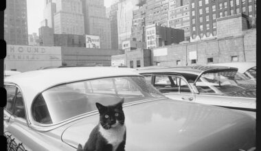 A troubled recluse with a camera obsessively walked the streets to chronicle postwar New York City