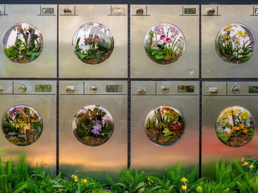 This re-creation of a laundromat uses the washing machines as terrariums.