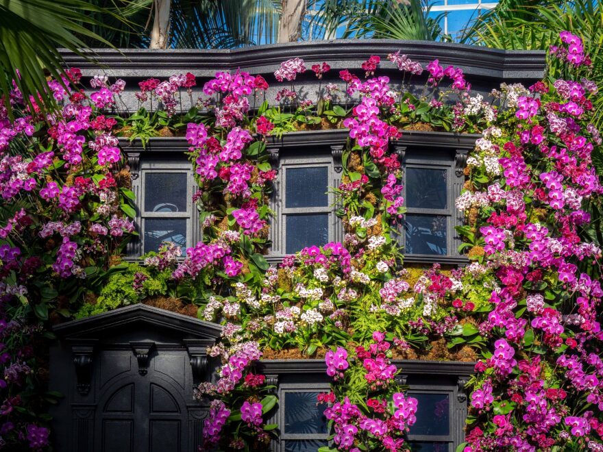 This typical New York brownstone is painted matte-black and is surrounded by black water, to better reflect the flowers.