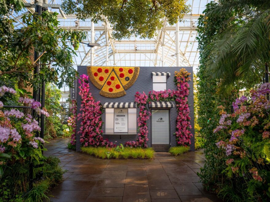 The pizza shop has a list of edible orchid toppings.