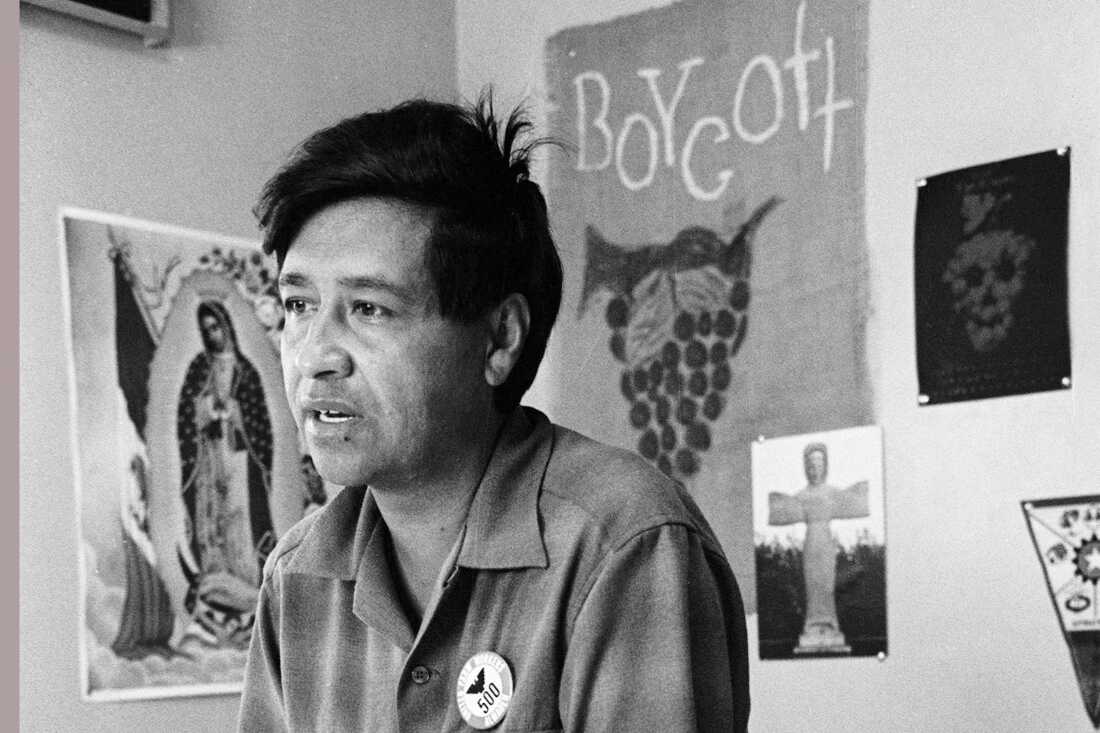 Cesar Chavez, a farm worker, labor organizer and leader of the California grape strike, is seen in a California works office in 1965.