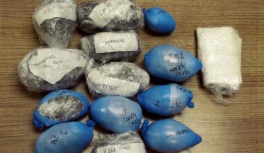 A drone drops knives, bandannas and hair clippers into a New York prison