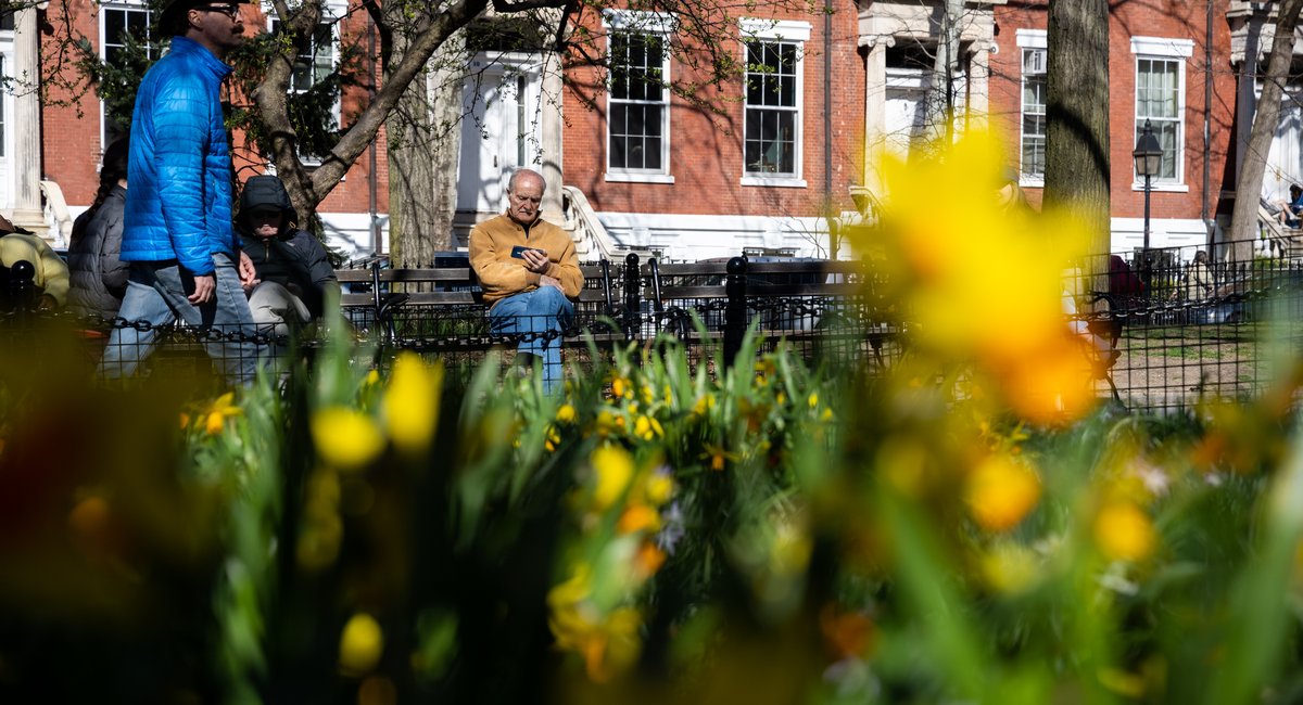‘Warming trend’ to herald spring in NYC before temps drop again next week: forecast