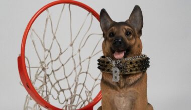 Queens University rallies around Buddy the Dog in NCAA tournament