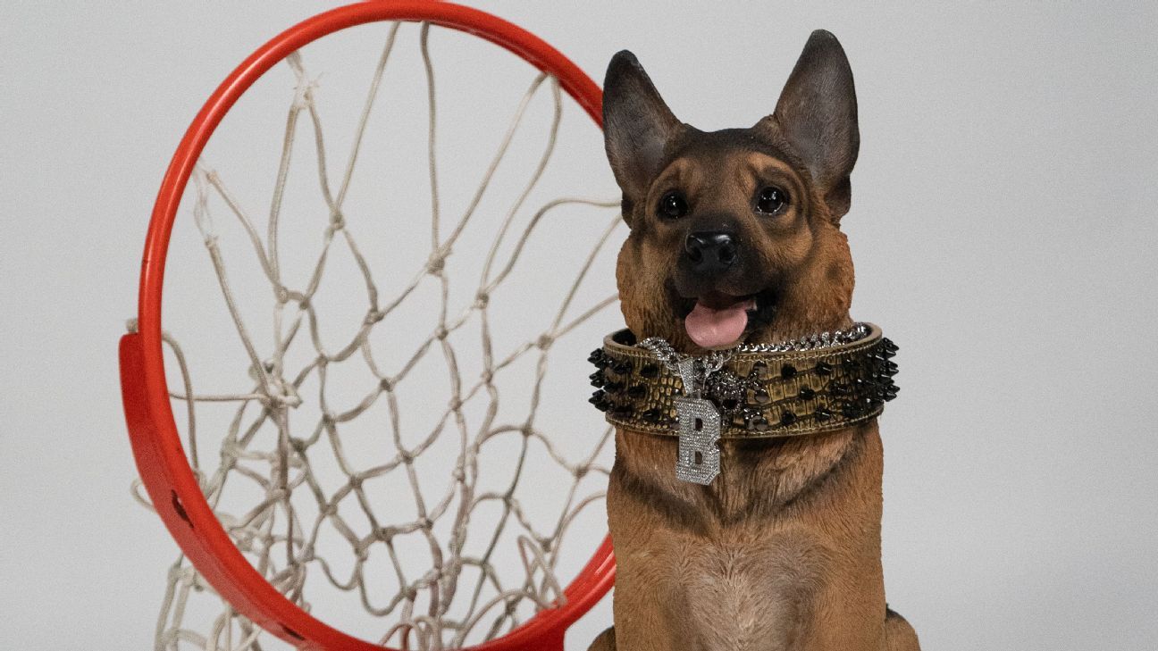 Queens University rallies around Buddy the Dog in NCAA tournament
