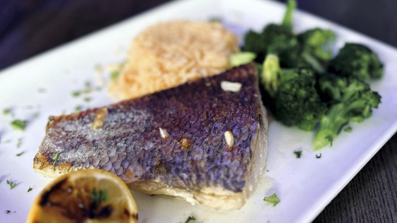 Captain Ihab opens in Farmingdale