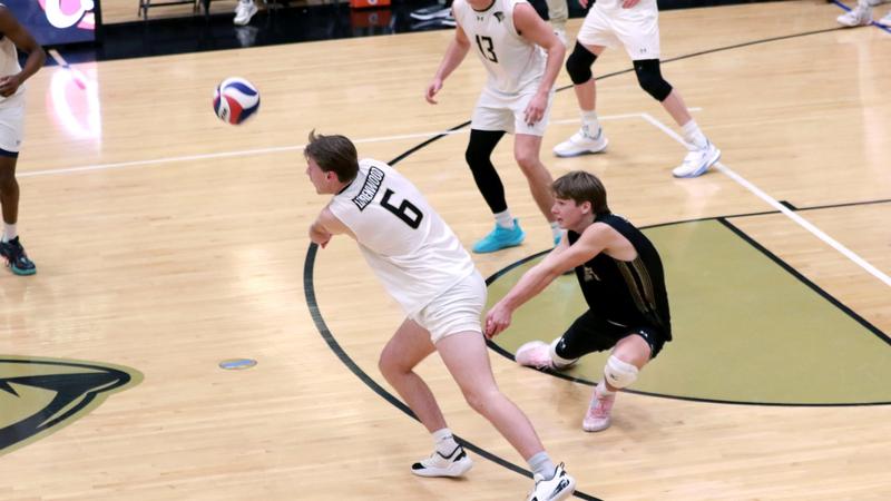 Whiteside's Career Day Lifts Men's Volleyball Past Queens In Five Sets
