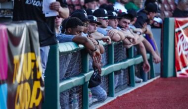 Baseball Drops Series Finale to Quinnipiac