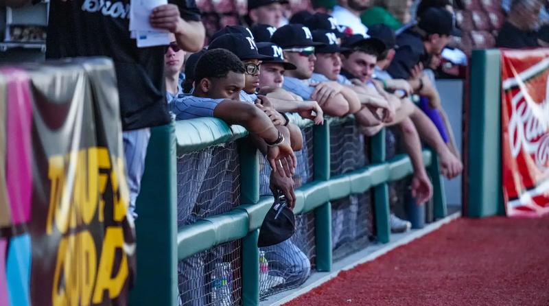 Baseball Drops Series Finale to Quinnipiac