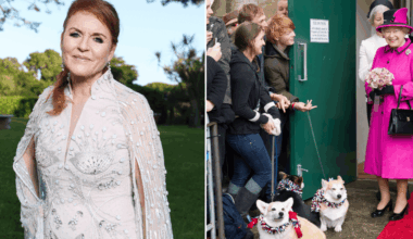 Sarah Ferguson shuts down rumours on cloning Queen's corgis in new statement