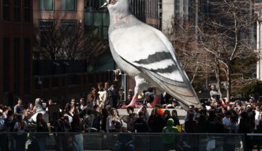 Petition with more than 5K signatures calls to keep High Line’s giant pigeon