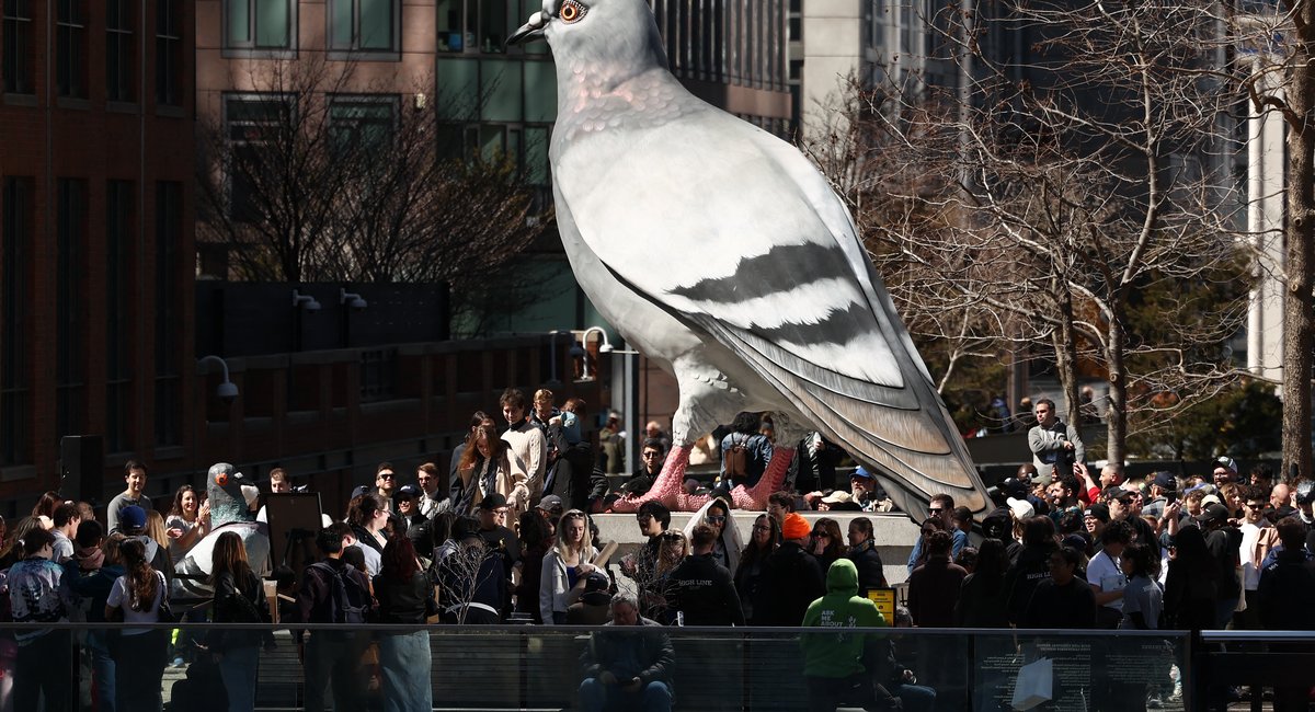 Petition with more than 5K signatures calls to keep High Line’s giant pigeon
