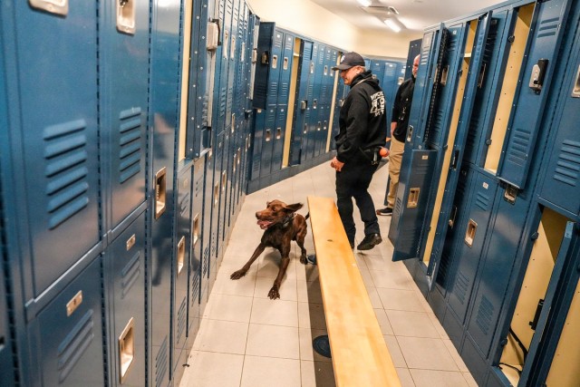 Fort Hamilton Hosts TSA‑Led Multi‑Agency K‑9 Readiness Training