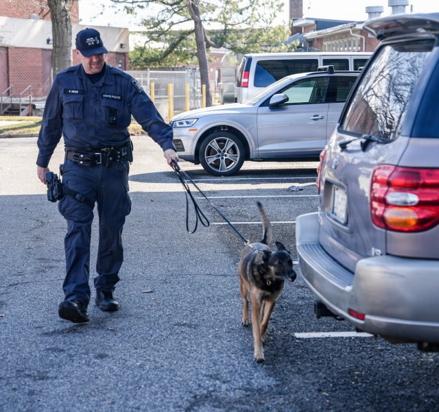 Fort Hamilton Hosts TSA Led Multi Agency K 9 Readiness Training