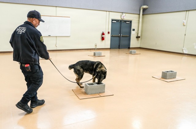 Fort Hamilton Hosts TSA Led Multi Agency K 9 Readiness Training