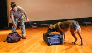 Fort Hamilton Hosts TSA‑Led Multi‑Agency K‑9 Training to Strengthen Regional Readiness | Article