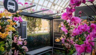 New York Family’s 20 Best April Events Across NYC