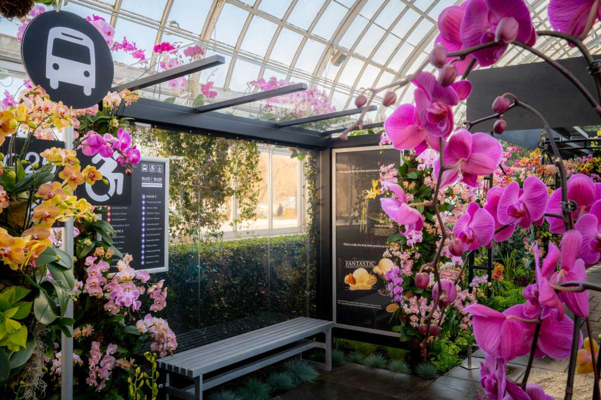 New York Family’s 20 Best April Events Across NYC