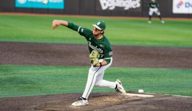 University of South Florida Logo