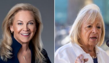 Shake-up brewing at Suffolk IDA?