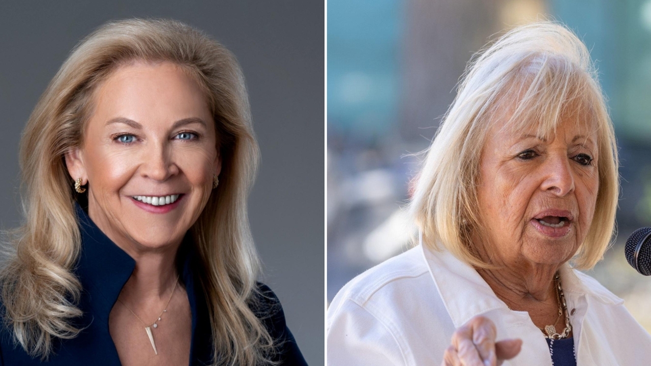 Shake-up brewing at Suffolk IDA?