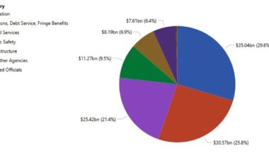 NYC Council launches public dashboards for budget expenses, projected revenue